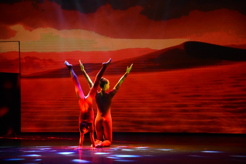Wizard Of Oz at Casino Du Liban 